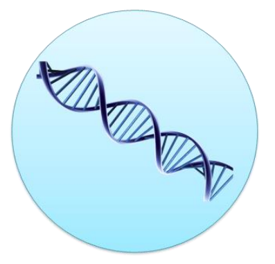 Modern biology and Genetics